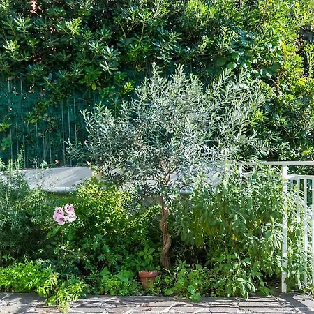 Διαμέρισμα Casa Ceroni Ρώμη